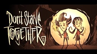 Dont Starve Together How to play using Hamachi [upl. by Galven]