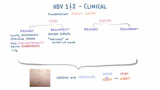 HSV  Clinical Presentation  Part 1 [upl. by Sherrod]