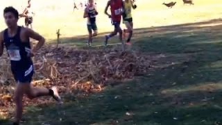 Raw Runner Hit By Deer During Race [upl. by Gamali]