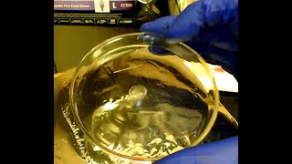 How to prepare a polymer thin film [upl. by Dine]