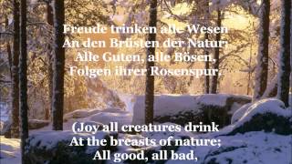 Ode an die Freude  Song Of Joy with German lyrics amp English translation [upl. by Iris]