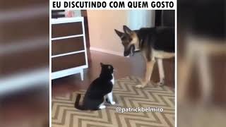 MELHORES MEMES DE ANIMAIS FALANTES ENGRAÃ‡ADOS BELMIRO MEMESCOMPILADO COM MEMES DE ANIMAIS FALANTES [upl. by Bainter]