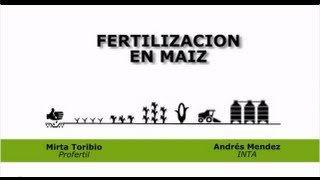 Estrategias de Fertilización en maíz [upl. by Rosy]