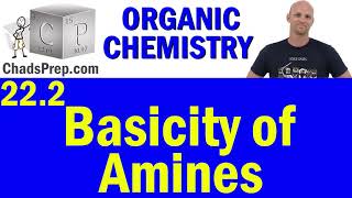 222 Basicity of Amines  Organic Chemistry [upl. by Kerianne]