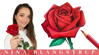 How to Draw a Realistic Rose  Step by Step Tutorial for Beginners [upl. by Tanberg282]