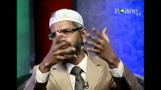 Dr Zakir Naik on Shahrukh Khan [upl. by Ardin]