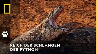 REICH DER SCHLANGEN  Der Python  National Geographic [upl. by Zacherie]