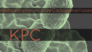 KPC Klebsiella pneumoniae Carbapenemases [upl. by Head]