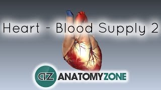 Blood supply to the heart  PART 2  Anatomy Tutorial [upl. by Haydon]