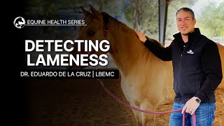 Detecting Lameness in Your Horse [upl. by Cohette]