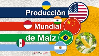 Producción Mundial de Maíz Principales Importadores y Exportadores [upl. by Risa985]