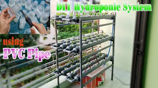 How to make a Hydroponic System at home using PVC Pipe [upl. by Anihsit]