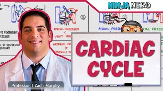 Cardiovascular  Cardiac Cycle [upl. by Edin]