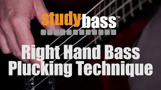 Plucking Right Hand Bass Technique  StudyBass [upl. by Anida]