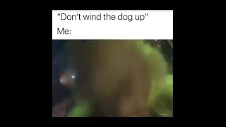 dont wind up the dog  grinch meme [upl. by Huston368]