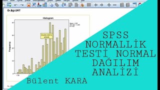 SPSS NORMALLİK TESTİ NORMAL DAĞILIM  Kolmogorov Smirnov ShapiroWilk Testleri SkewnessKurtosis [upl. by Nerhe828]