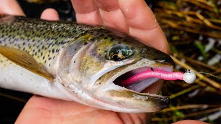 How To Fish MICRO Worms For TROUT In Creeks Rivers amp Streams [upl. by Fulcher]