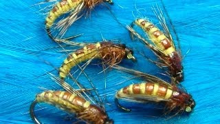 Tying the McPhail Caddis Pupa by Davie McPhail [upl. by Reiser]