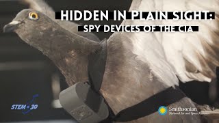 Hidden in Plain Sight Spy Devices of the CIA [upl. by Daegal]